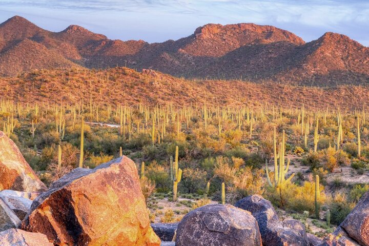 Vistas galore of the Sonoran Desert!